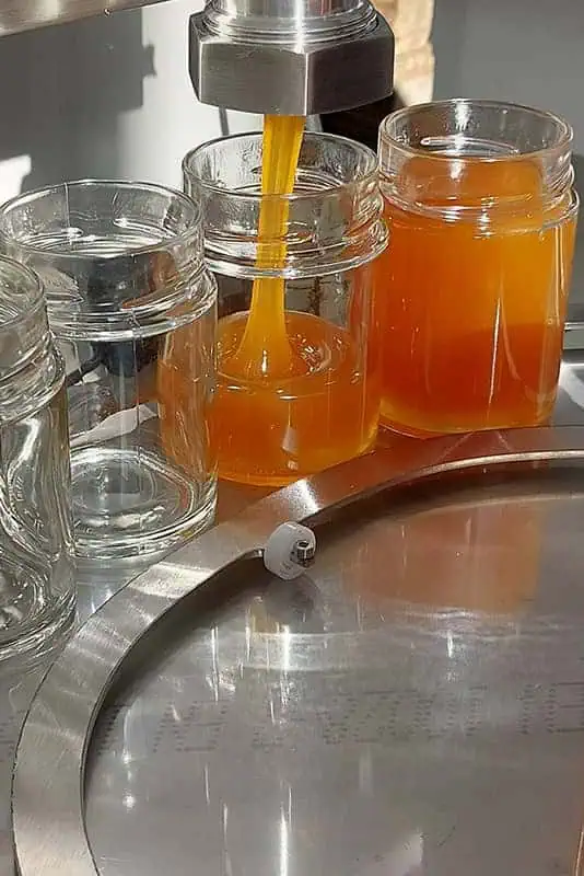 Honig veredeln: Gläser mit veredeltem Honig