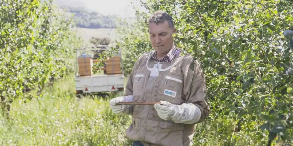 Bee Valais – Imker auf einem Weingut in Sion