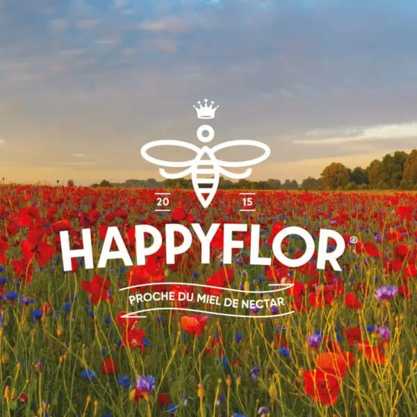 Happyflor Bienenfutter - Bee Valais Shop