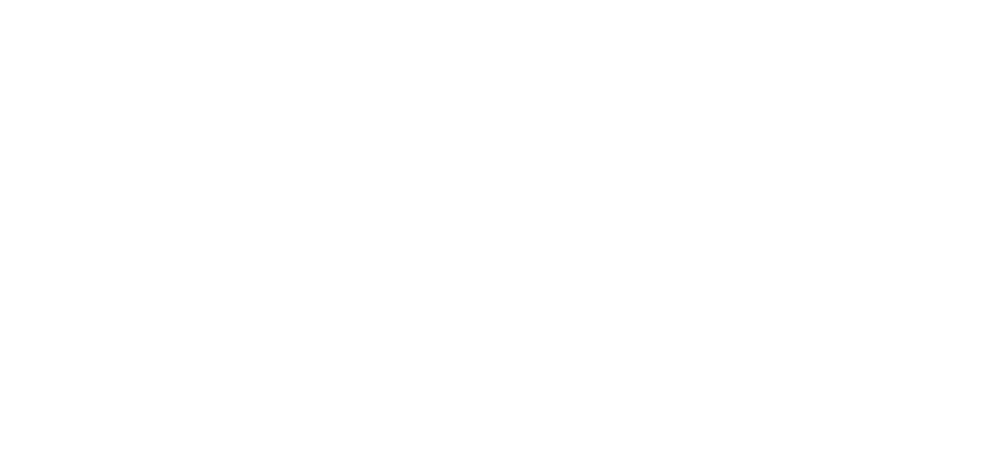Bee Valais Logo