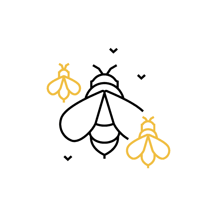 Bee Valais Online-Shop – Königinnenzucht